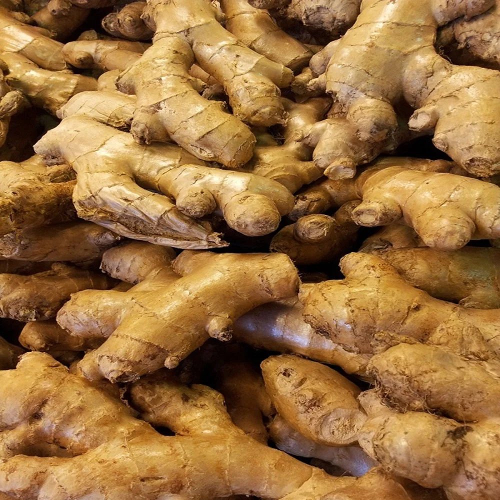 Best Ginger Exporters in Tamil Nadu